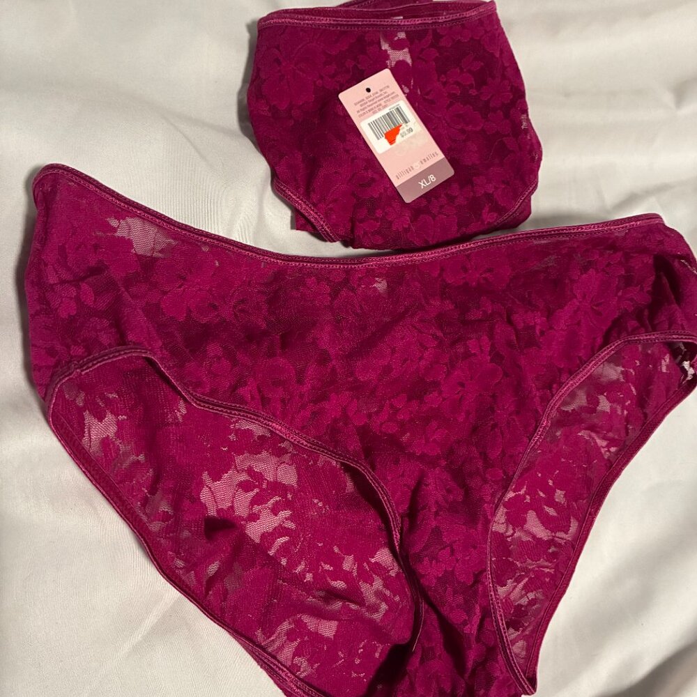 VINTAGE PANTIES GILLIGAN O’MALLEY  LACE SZ XL SEMI-SHEER NWT (NEVER WORN)